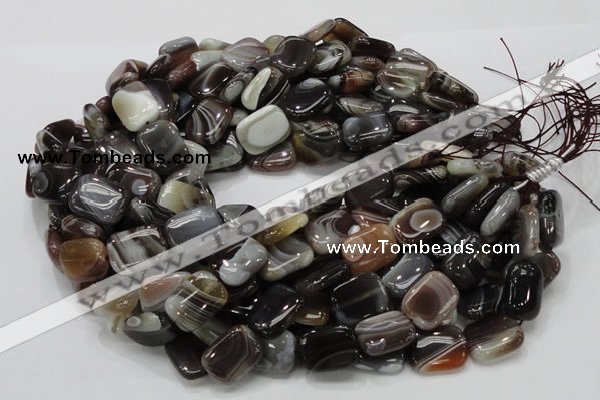 CAG739 15.5 inches 14*18mm rectangle botswana agate beads wholesale