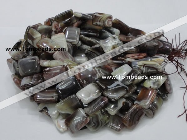 CAG740 15.5 inches 16*20mm rectangle botswana agate beads wholesale