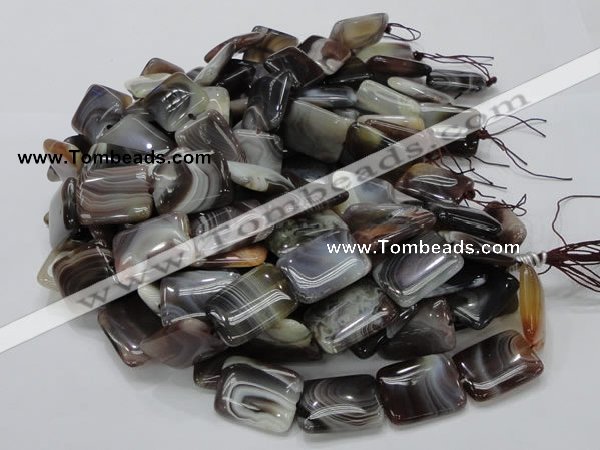 CAG741 15.5 inches 18*24mm rectangle botswana agate beads wholesale