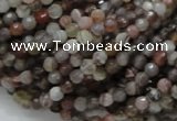 CAG742 15.5 inches 4mm faceted round botswana agate beads wholesale