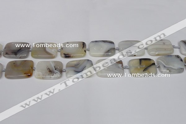 CAG7423 15.5 inches 18*25mm rectangle Montana agate beads