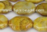 CAG7437 15.5 inches 20*30mm octagonal crazy lace agate beads