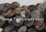 CAG751 15.5 inches 10mm faceted coin botswana agate beads wholesale