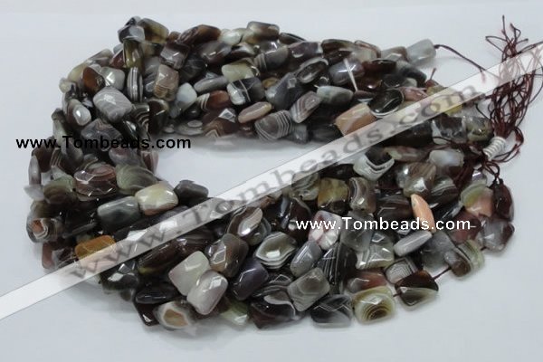 CAG759 15.5 inches 10*14mm faceted rectangle botswana agate beads