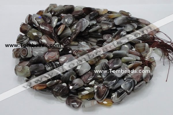 CAG760 15.5 inches 14*18mm faceted rectangle botswana agate beads