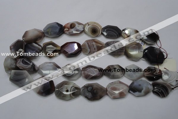 CAG761 15.5 inches 18*25mm faceted freeform botswana agate beads