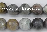 CAG7871 15.5 inches 16mm faceted round silver needle agate beads