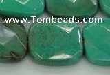 CAG7918 15.5 inches 30*30mm faceted square grass agate beads