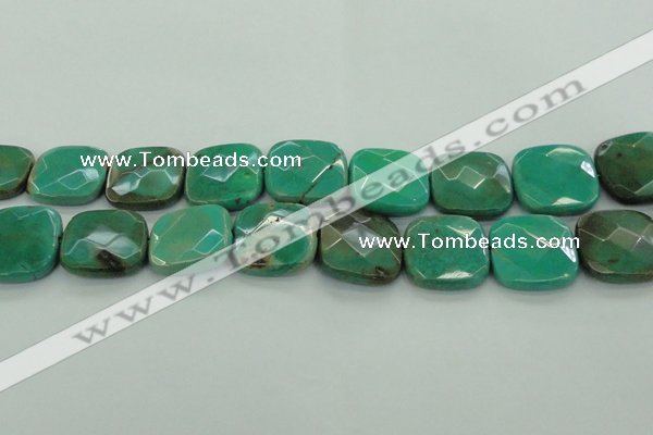 CAG7918 15.5 inches 30*30mm faceted square grass agate beads