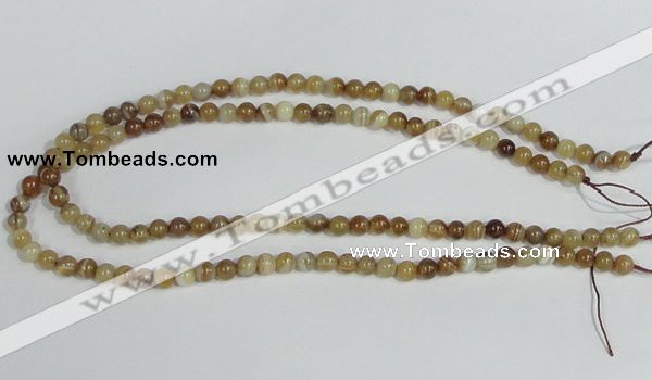 CAG936 16 inches 6mm round madagascar agate gemstone beads