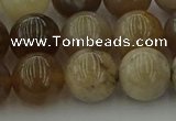 CAG9404 15.5 inches 12mm round ocean fossil agate beads wholesale