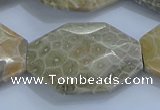 CAG9440 22*30mm - 25*35mm faceted freeform chrysanthemum agate beads