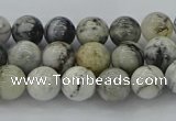 CAG9731 15.5 inches 6mm round black & white agate beads wholesale