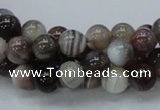 CAG980 15.5 inches 10mm round botswana agate beads wholesale