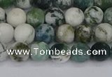 CAG9838 15.5 inches 6mm faceted round tree agate beads