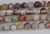 CAG9860 15.5 inches 4mm faceted round Mexican crazy lace agate beads