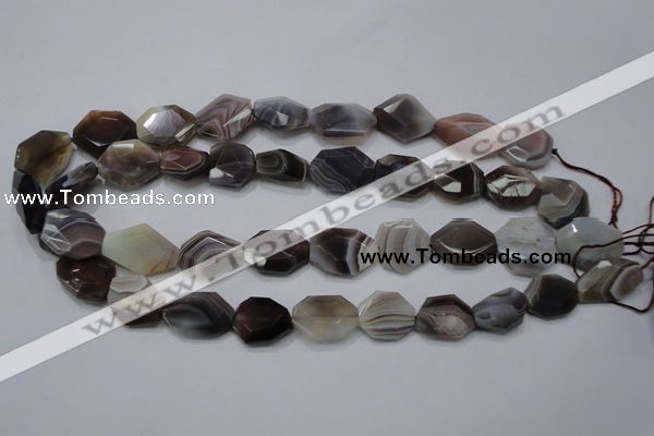 CAG990 15.5 inches 15*20mm faceted freeform botswana agate beads