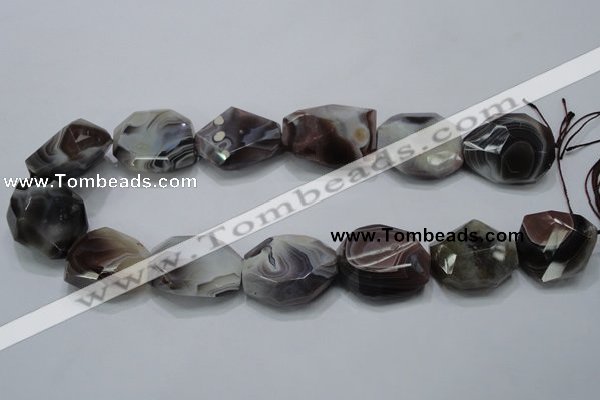 CAG991 15.5 inches 25*30mm faceted freeform botswana agate beads