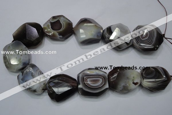 CAG992 15.5 inches 30*40mm faceted freeform botswana agate beads