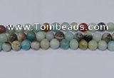 CAM05 round mixed color 12mm natural amazonite beads Wholesale