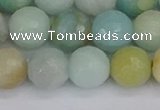 CAM1462 15.5 inches 12mm faceted round amazonite beads wholesale