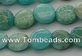 CAM1592 15.5 inches 10mm flat round Russian amazonite beads