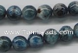 CAP06 15.5 inches 10mm round apatite gemstone beads wholesale