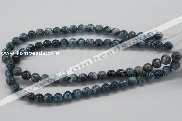 CAP06 15.5 inches 10mm round apatite gemstone beads wholesale