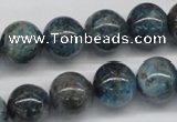 CAP07 15.5 inches 14mm round apatite gemstone beads wholesale