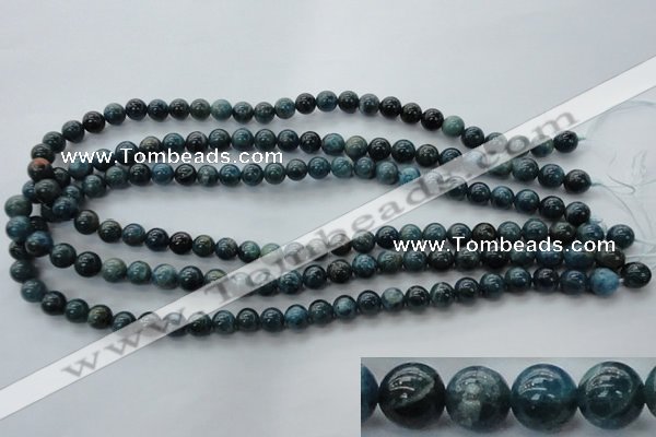 CAP302 15.5 inches 8mm round natural apatite gemstone beads