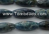 CAP310 15.5 inches 11*25mm rice natural apatite gemstone beads