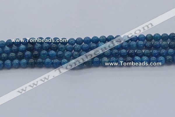 CAP361 15.5 inches 6mm round apatite gemstone beads wholesale