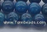 CAP363 15.5 inches 10mm round apatite gemstone beads wholesale