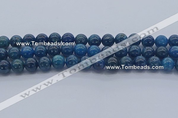 CAP363 15.5 inches 10mm round apatite gemstone beads wholesale