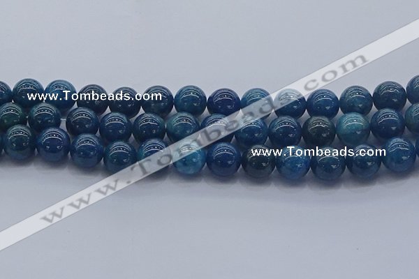 CAP364 15.5 inches 12mm round apatite gemstone beads wholesale