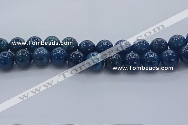 CAP366 15.5 inches 16mm round apatite gemstone beads wholesale