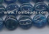 CAP381 15.5 inches 10mm flat round apatite gemstone beads