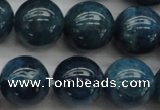 CAP403 15.5 inches 10mm round A grade natural apatite beads