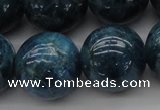 CAP405 15.5 inches 14mm round A grade natural apatite beads