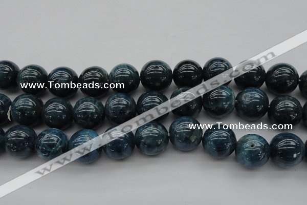 CAP405 15.5 inches 14mm round A grade natural apatite beads