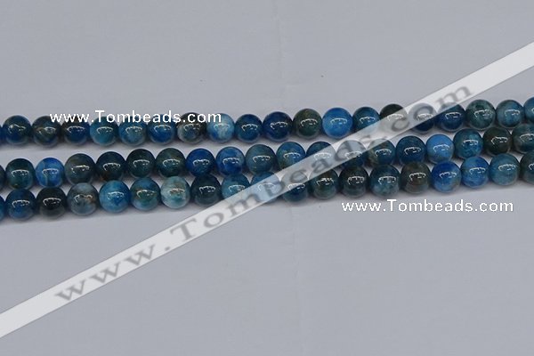 CAP412 15.5 inches 8mm round apatite gemstone beads wholesale