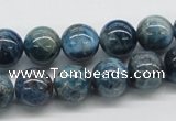 CAP55 15.5 inches 12mm round dyed apatite gemstone beads wholesale