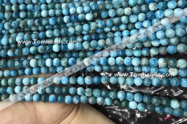 CAP576 15.5 inches 4mm round apatite beads wholesale