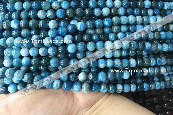 CAP577 15.5 inches 6mm round apatite beads wholesale