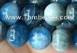 CAP579 15.5 inches 10mm round apatite beads wholesale