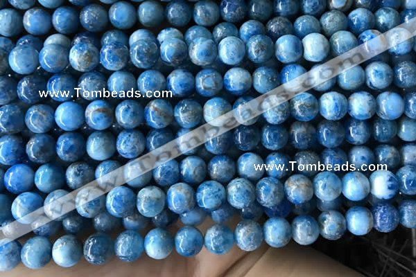 CAP584 15.5 inches 8mm round apatite gemstone beads