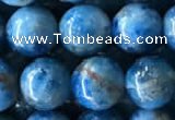 CAP585 15.5 inches 10mm round apatite beads wholesale