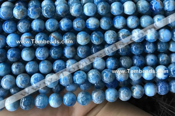 CAP585 15.5 inches 10mm round apatite beads wholesale
