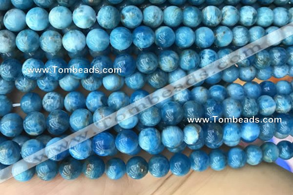 CAP590 15.5 inches 10mm round apatite beads wholesale