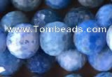 CAP595 15.5 inches 9mm faceted round apatite gemstone beads